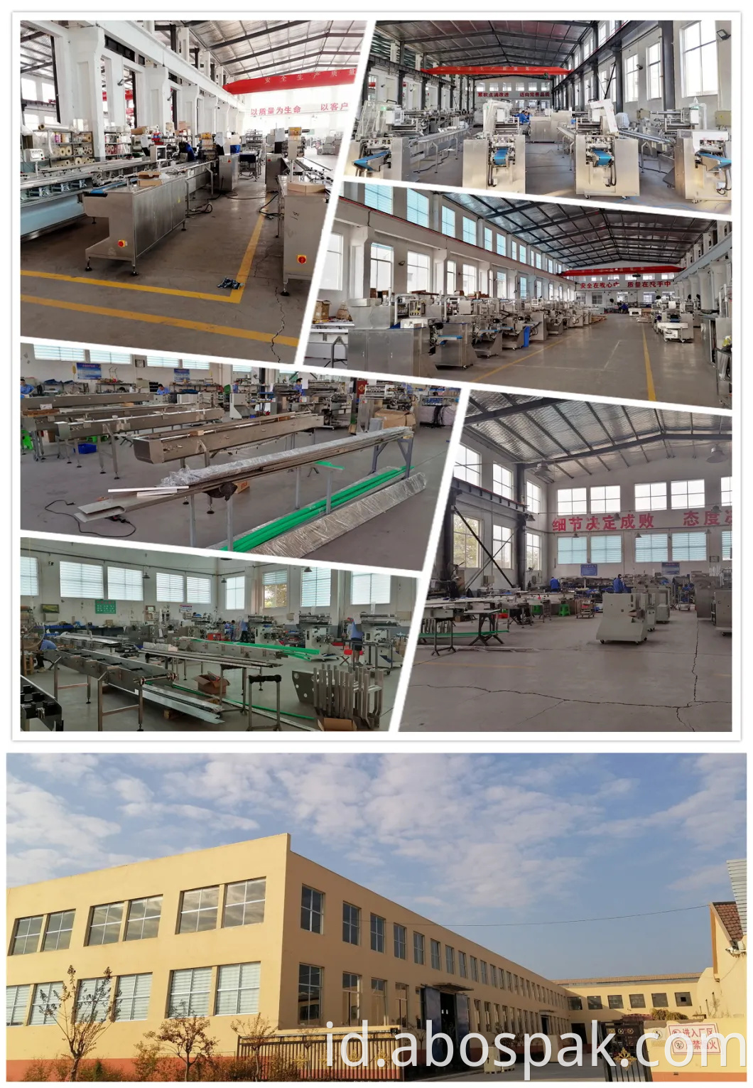 Qingdao Bostar Buah Segar Kelapa Multi-fungsi Otomatis Servo Horizontal Heat Shrinkable Film Shrink Wrapping Packing Machine Dengan Terowongan